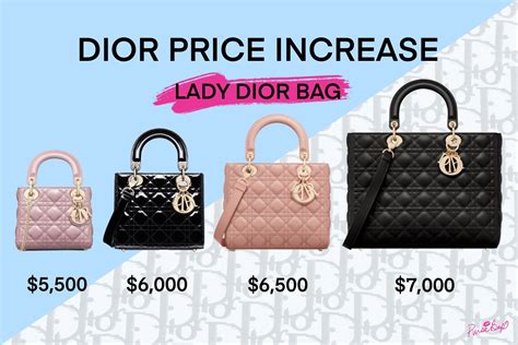 lady dior puch|lady dior price.